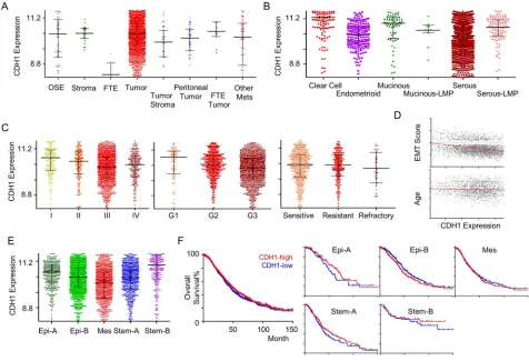 Figure 4: CDH1 gene expression in ovarian cancer. An example of CSIOVDB outputs for a gene queried