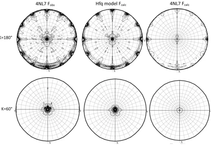 Figure 1. Self rotation function of the 4NL7 dataset, our Hfq model and the 4NL7 model
