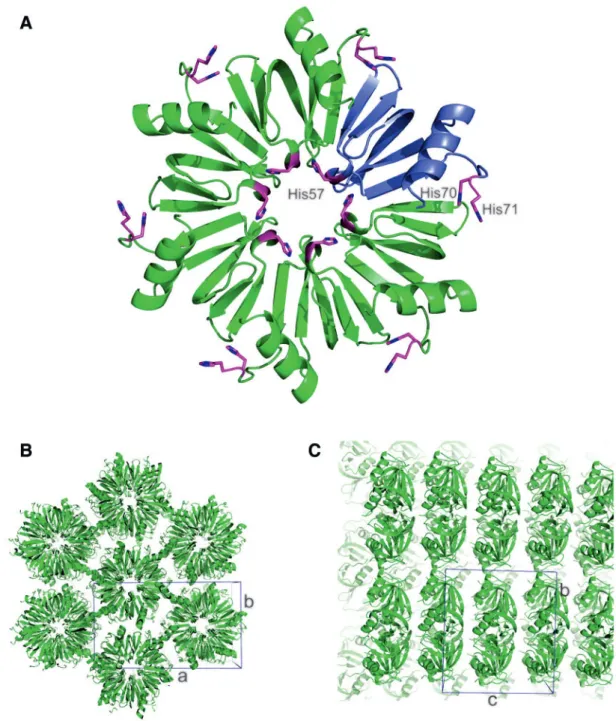 Table 3. E. coli Hfq entries in the PDB with cell constants (axis lengths in A, cell angles in  ) comparable to the 4NL7 cell reduced to P1