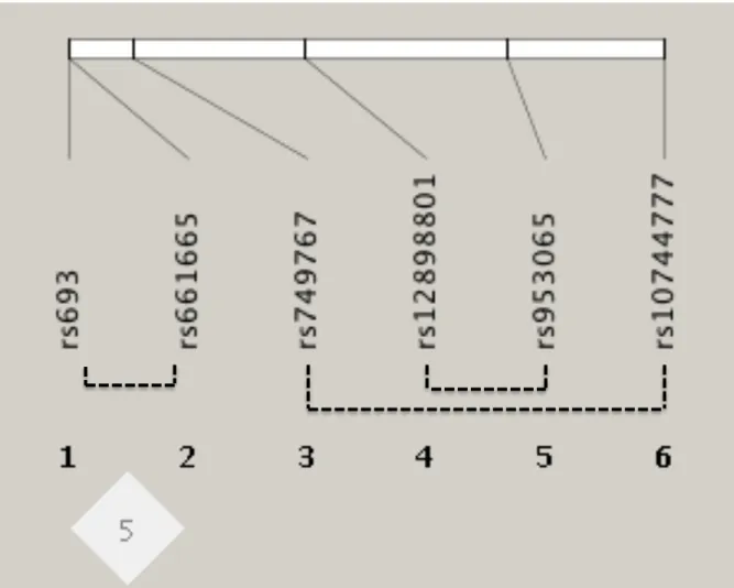 Fig. S2 Main effect filter analysis - underlying linkage disequilibrium (LD) structure of SNPs within pairwise interactions (P-value < 