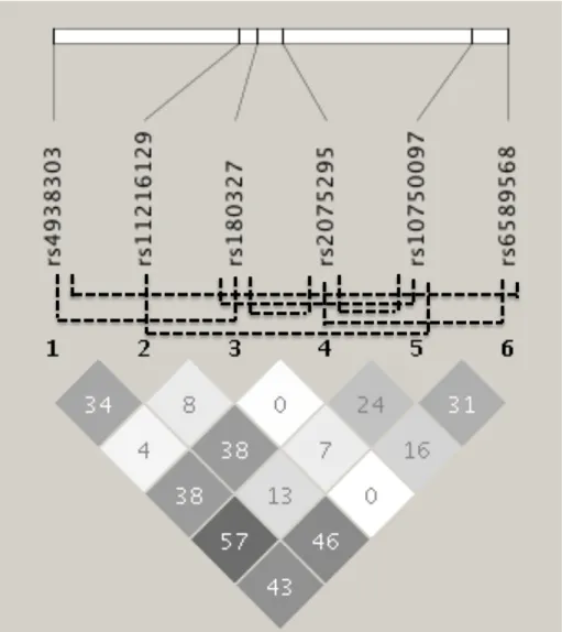 Fig. S3 Main effect filter analysis - underlying linkage disequilibrium (LD) structure of SNPs within pairwise interactions (P-value < 