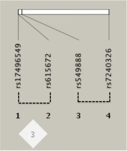 Fig. S4 Biofilter analysis - underlying linkage disequilibrium (LD) structure of SNPs within pairwise interactions (P-value < 0.05)  associated with HDL cholesterol level