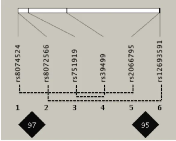 Fig. S5 Biofilter analysis - underlying linkage disequilibrium (LD) structure of SNPs within pairwise interactions (P-value < 0.05)  associated with LDL cholesterol level