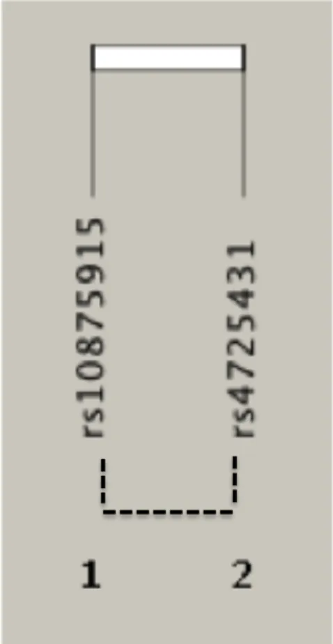 Fig. S6 Biofilter analysis - underlying linkage disequilibrium (LD) structure of SNPs within pairwise interactions (P-value < 0.05)  associated with total cholesterol level