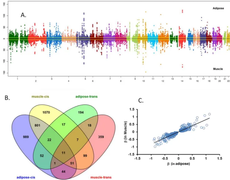 Figure 1. Expression quantitative trait locus (eQTL) analysis identified regulatory  polymorphisms for adipose and muscle tissue transcripts in African Americans
