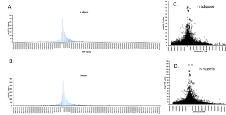 Figure 2. Physical location of cis-eSNPs with respect to transcription start sites of each gene Distance distribution of each transcript’s most strongly associated cis-eSNPs (FDR<0.01) to  its TSS in adipose (A) and muscle (B)