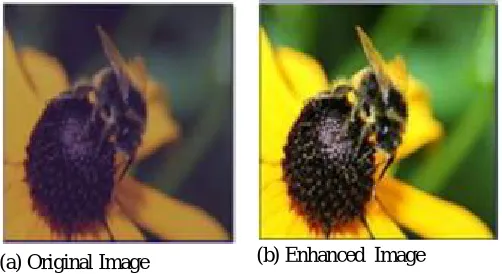 Fig 1: Showing effects of IE [2] 