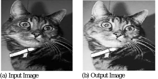 Fig 3: Histogram Equalization 