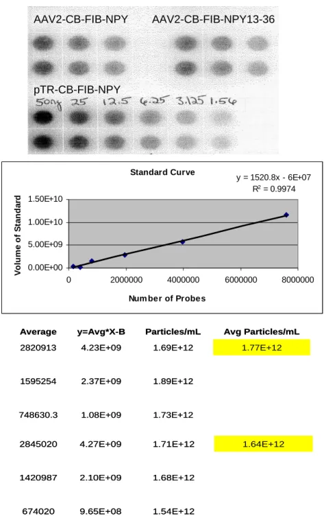 Figure 2-1. Dot Blot, Standard Curve, and Titer Calculations for AAV2-CB-FIB-NPY and  AAV2-CB-FIB-NPY13-36