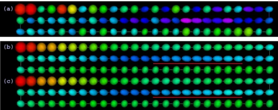 Figure 2.9: (a) Ellipsoidal representations of the diffusion tensor data and estimated tensors using the intrinsic local linear regression under the (b)Log-Euclidean and (c) affine invariant metrics along the fiber tract f1 colored with FA values