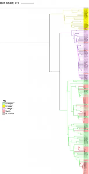 FIG 1 An unweighted pair group method with arithmetic mean (UPGMA) tree based on the cgMLSTassociation between 58 Welsh isolates