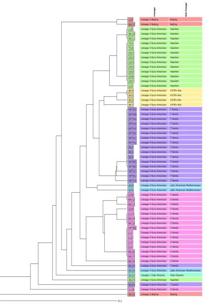 FIG 2 Phylogenetic analysis of 59 Welshrequired for the 60-locus SNP barcode analysis) assigning the isolates to lineages and sublineages