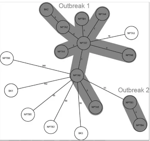 FIG 4 A minimum-spanning tree of 17 cases constructed using Ridom SeqSphere software. Isolates sharing less than 12 allelic differences are classiﬁed as directtransmission events and are thus part of a clonal outbreak and are grouped accordingly into outbreak 1 and outbreak 2.