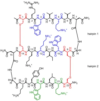 Figure 2.2  Structure of S123 containting the WKWK motif (blue), the addition of a Trp and  Lys for ssDNA recognition (green) and two pairs of cross-strand Cys for disulfide cyclization  (red)