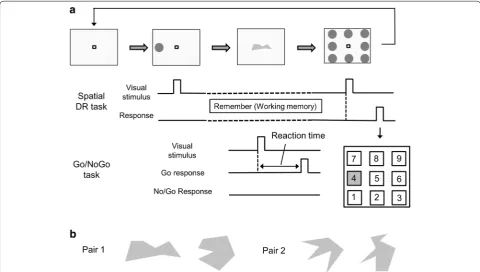 Figure 1 a Spatial delayed response (Spatial DR) task and Go/No-Go task. At the beginning of the Spatial DR task, a visual cue was presented at one of the eight locations