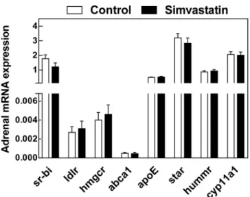 Fig. 3. The effect of simvastatin treatment on the adrenal glucocorticoid function in apoA1 knockout mice.