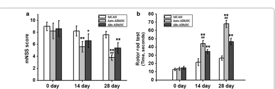 Fig. 8 Expression of allograft rejection-related inflammatory cytokines in the brain tissue near the transplanted ADMSCs on day 7 post-transplantation was detected by ELISA