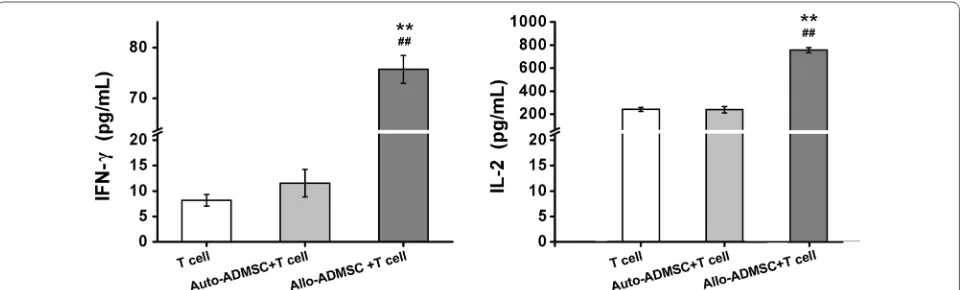 Fig. 4 The immunogenicity of ADMSCs was analyzed using co-culture with T lymphocytes. Allo-ADMSCs added to T lymphocyte cultures increase the production of IFN-γ and IL-2 by T lymphocytes