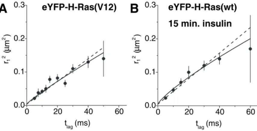 Fig. 7. Mean square displacement of the fast fraction of the Ras(V12) (A) and 15-minute stimulated  eYFP-H-Ras(wt) (B) constructs