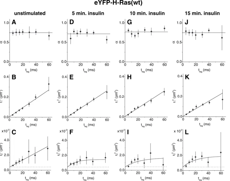 Fig. 5. Diffusion characteristics of eYFP-H-Ras(wt) before stimulation and 5, 10 and 15 minutes after stimulation with insulin