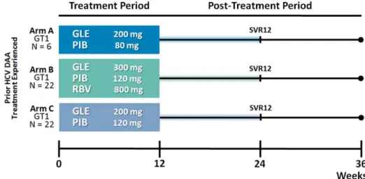 FIG. 1. MAGELLAN-1, part 1, clinical trial design schematic. In part 1 of the MAGELLAN-1 study, patients were randomized 1:1:1 into three treatment arms, stratiﬁed by HCV subtype (1b or non-1b) and previous DAA classiﬁcation (NS5A  inhibitor–experi-enced, 