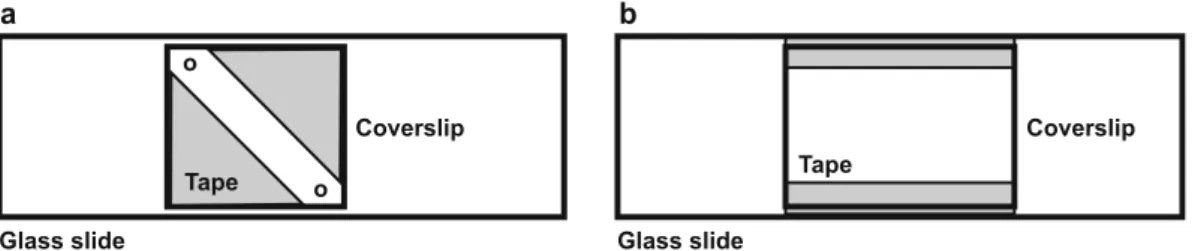 Fig. 3 Schematic diagram of sample chambers for (a) single-molecule experiments and (b) fluorescent bead calibration