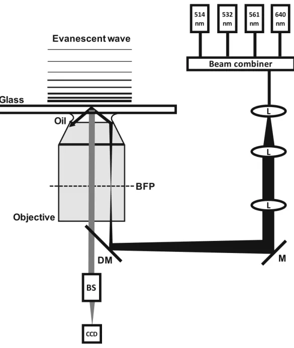 Fig. 1 Schematic representation of an objective-based TIRF instrument. Individual fiber-coupled lasers are combined and coupled into a single excitation beam, which is expanded with a set of lenses (L)