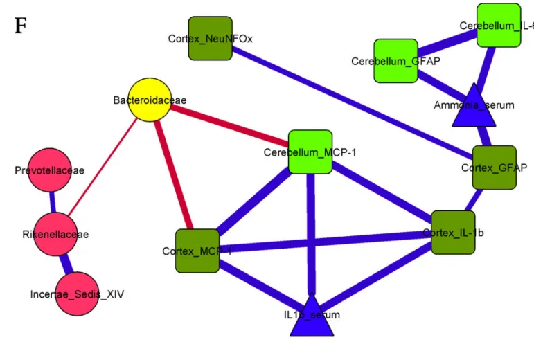 Figure 3. Correlation networks between microbiota, systemic and neuro-inflammatory markers  in conventional mice