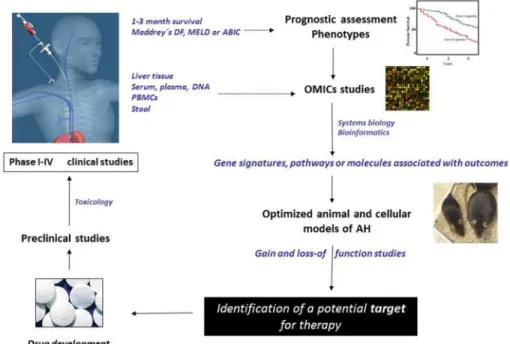 Figure 3. Clinical and Translational Methods in AH