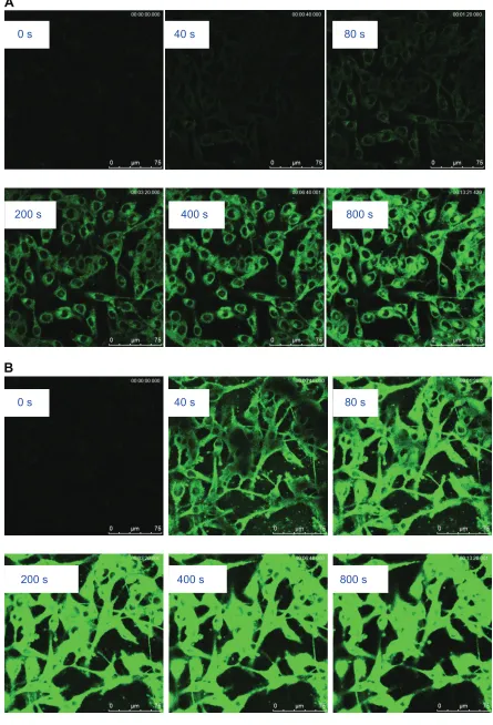 Figure 4 (Continued)