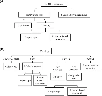 Figure 7: Possible scenarios for the incorporation of a methylation test with JAM3-M4 in cervical cancer screening as a triage marker in (A) HrHPV testing or (B) cytology testing.