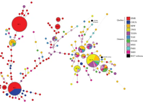 FIG 1 Minimum-spanning tree of MLVA data from 450 R027 C. difﬁcile isolates. Clustering of MLVA proﬁles was performed using a Manhattan coefﬁcient (MC),and each circle represents a unique MLVA complex