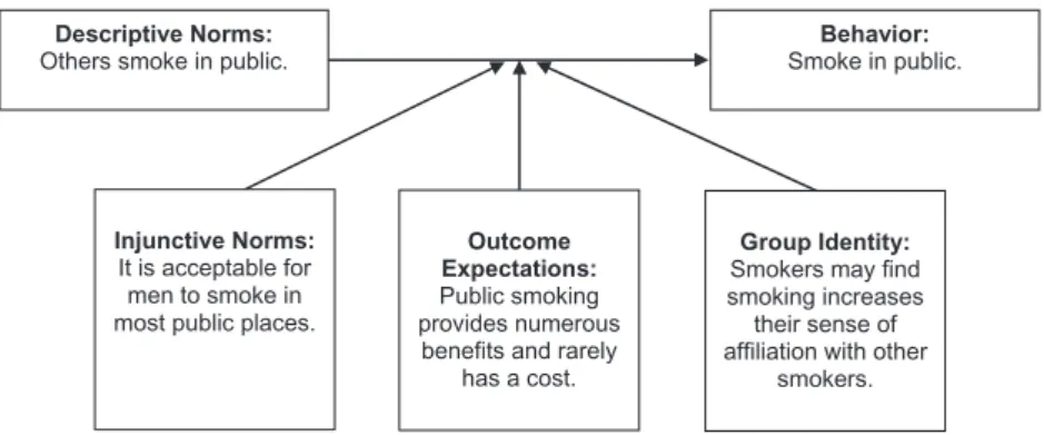 Fig. 1. Public smoking in Bogor mapped to the theory of normative social behavior. Modified from source [18].