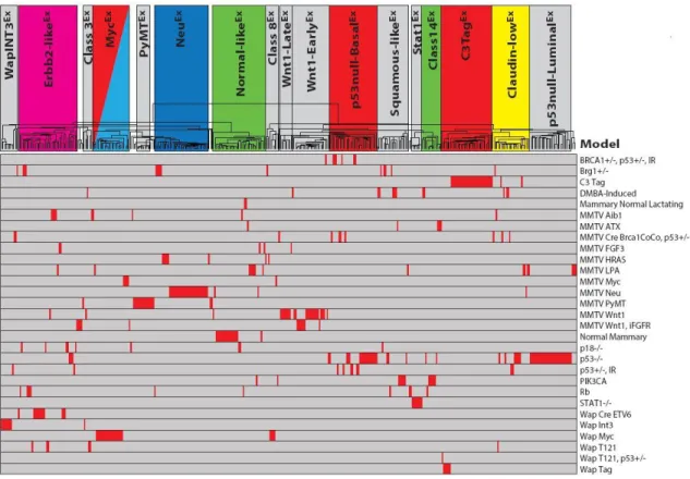 Figure 4: Murine intrinsic tumor dendrogram by mouse model. 