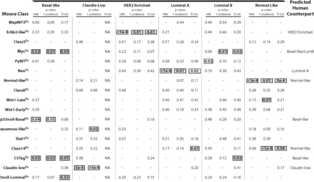 Table 3: Gene set analysis of murine classes and human subtypes 