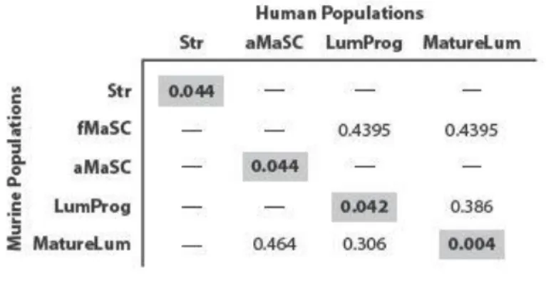 Table 6: Gene set analysis of human and murine cell subpopulations 