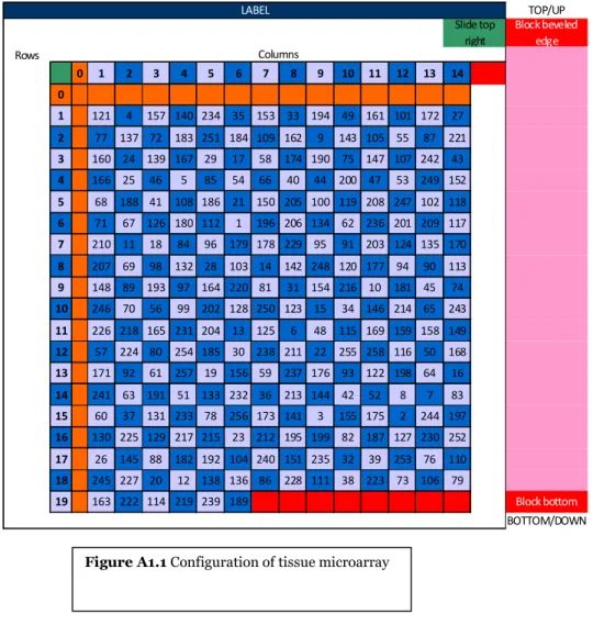 Figure A1.1 Configuration of tissue microarray