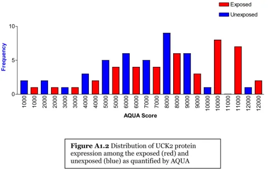 Figure A1.2 Distribution of UCK2 protein expression among the exposed (red) and unexposed (blue) as quantified by AQUA