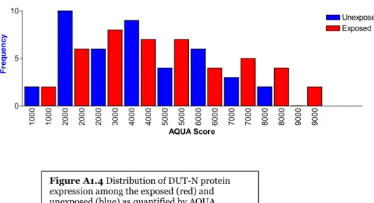 Figure A1.4 Distribution of DUT-N protein expression among the exposed (red) and unexposed (blue) as quantified by AQUA