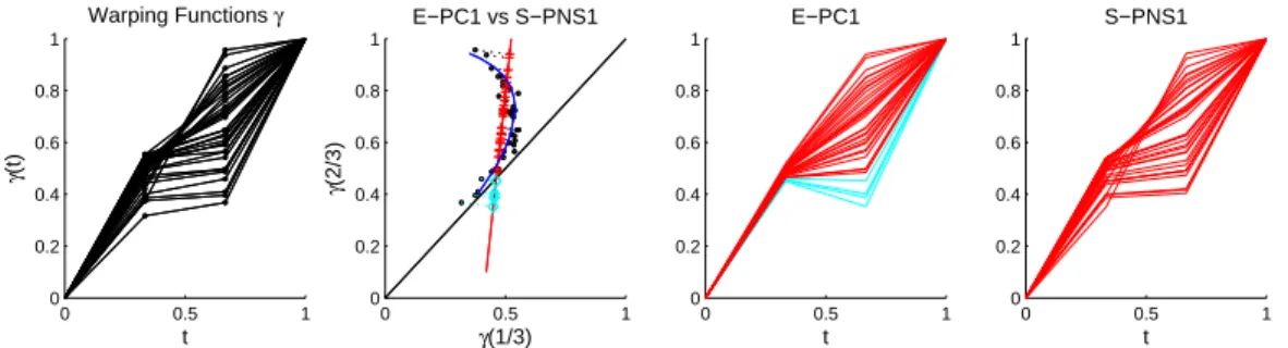 Figure 2.5: A toy example to illustrate the potential problem of E-PCA. The first panel: A set of two-dimensional warping functions γ i , each determined by γ i (1/3) and γ i (2/3)