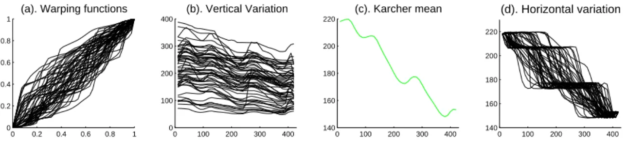 Figure 2.8: Phase and Amplitude Separation. (a): Warping functions. (b): Vertical variation