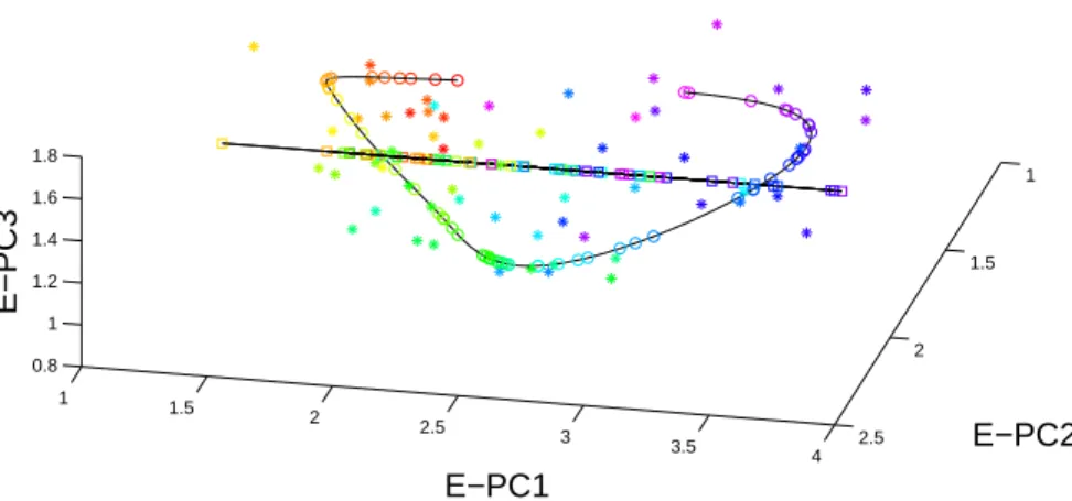 Figure 2.11: Visualization of S-PNS1 and E-PC1 scores in the 3-d space generated by the E-PC1, E- E-PC2 and E-PC3 directions for the blood glucose data: Stars are the E-PC1, E-E-PC2, E-PC3 scores, squares are the E-PC1 projections and circles are the S-PNS