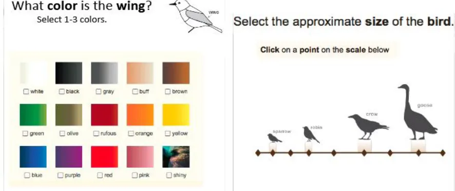Figure (a): Left side image chooses the color and Right side image chooses the size 