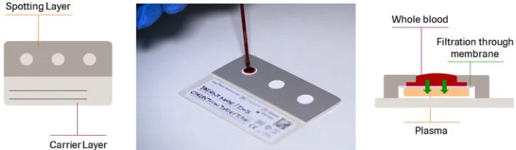 FIG 1 cobas plasma separation card showing the three spots (left) and how plasma is separated from whole bloodin the spot (right).
