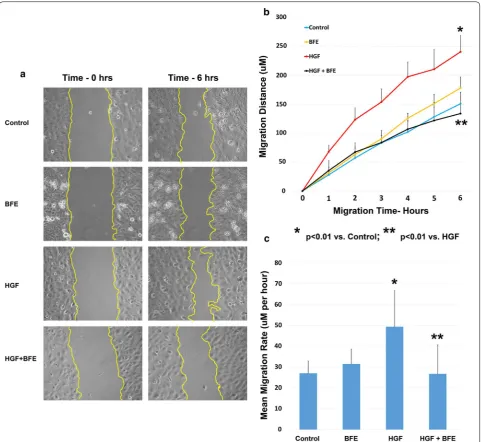 Fig. 1 BFE suppressed the HGF-induced motile properties of breast cancer cells: a images taken from the BT549 wounding model