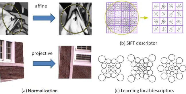 Figure 2.3: Feature description. Normalized views of features are first generated ac- ac-cording to the spatial extent of features, and descriptors are computed as a compact representation