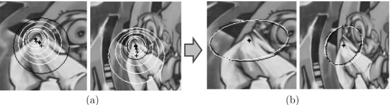 Figure 2.6: (a) Example of scale selection for Harris-Laplace detection. The black circle gives the the scale where LoG maximum is found