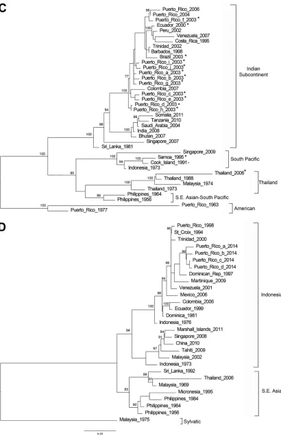 FIG 1 (Continued)