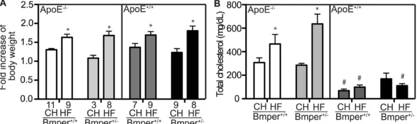Figure 2-6. The changes in body weight and total cholesterol level of BMPER/ApoE  mice after 20 weeks on standard chow (CH) or high fat diet (HF).
