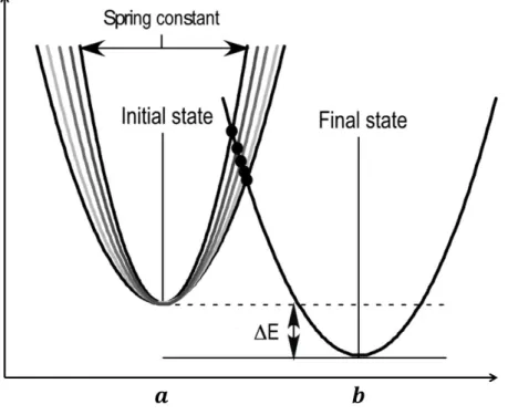 Figure 1. The double well: The two states of the protein between which the transitions are  studied, can be approximated by the double well system